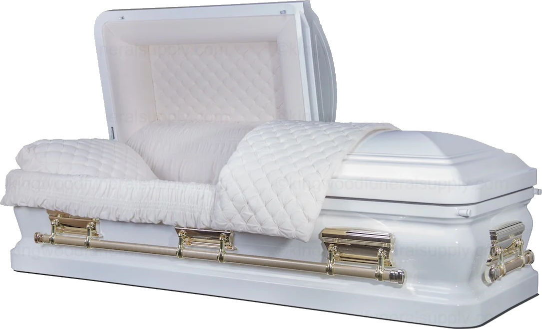 Cheap Casket, Metal Casket Front view